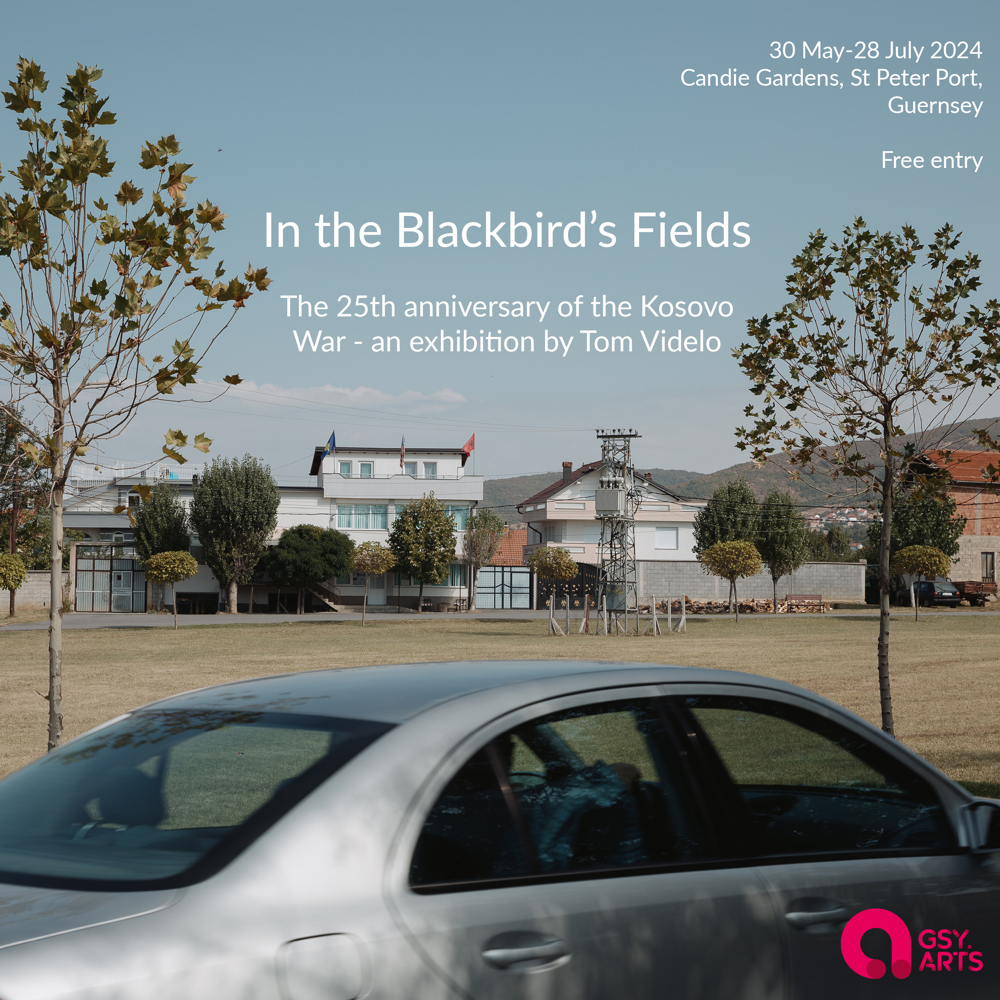 Poster for In the Blackbird’s Fields