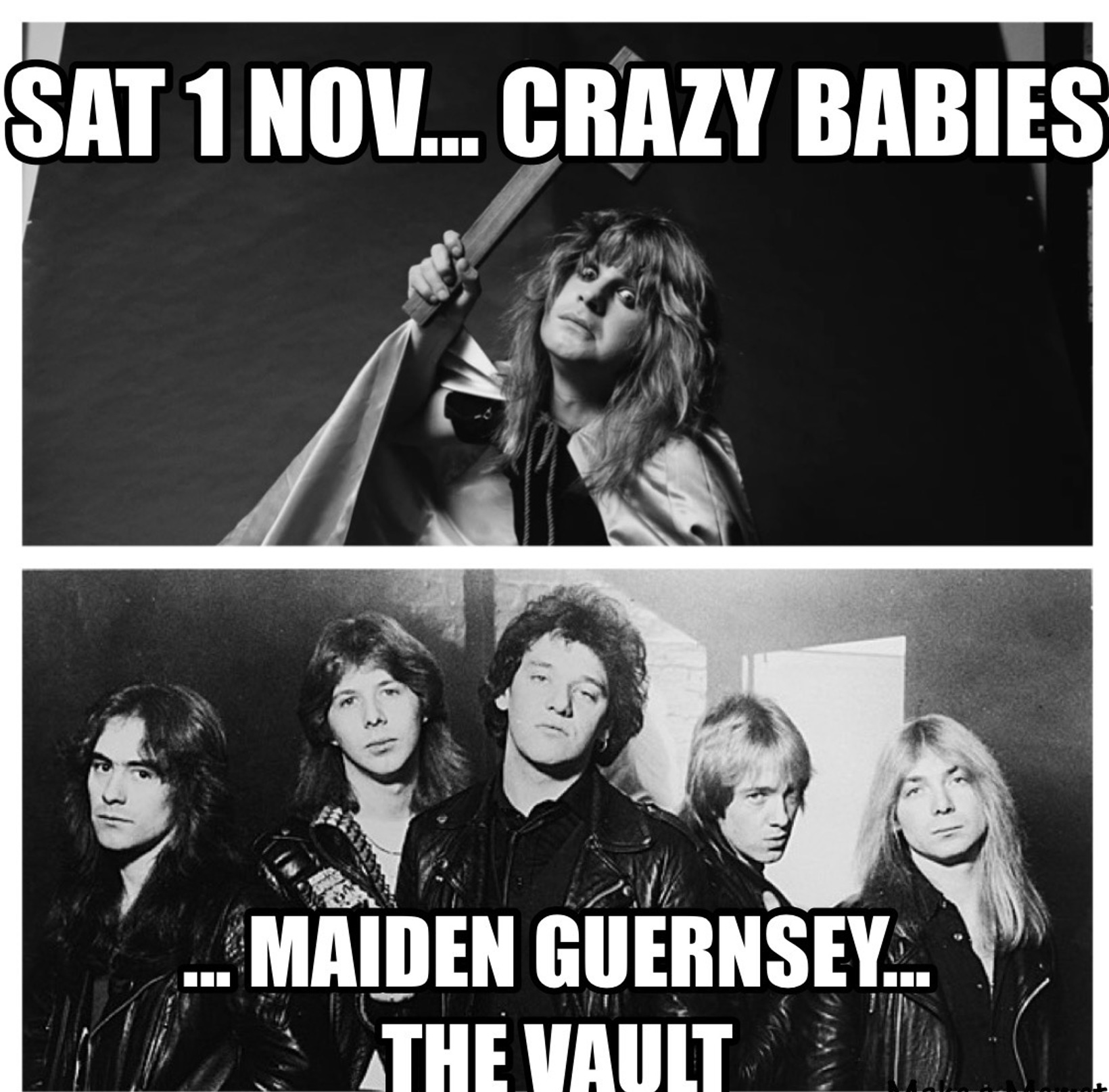 Maiden Guernsey & Crazy Babies