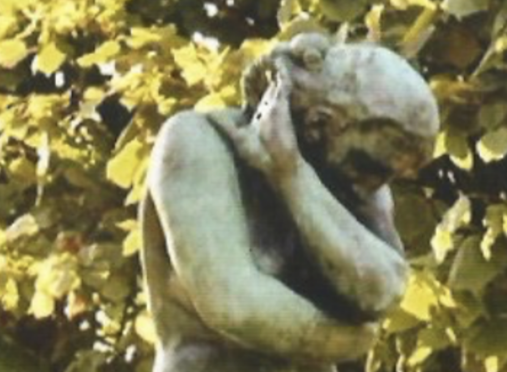 Arts Society Guernsey - A talk on Rodin & 19th Century Sculpture
