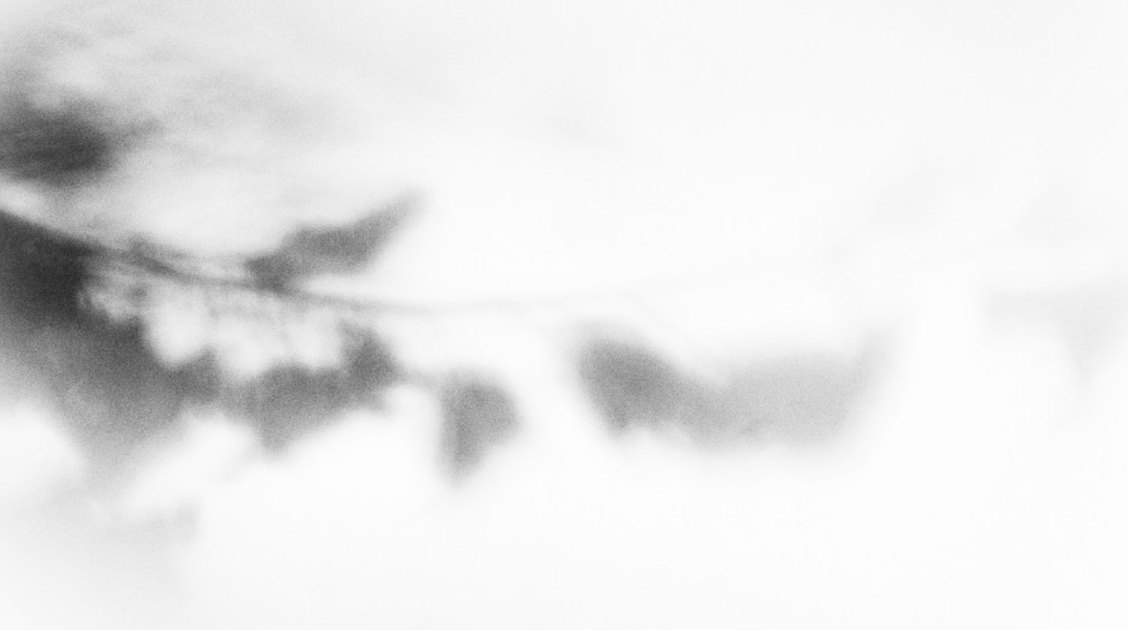 Beyond the Shadows: An Exhibition by Helen Glencross