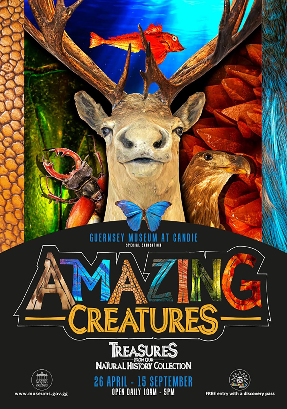Poster for Amazing Creatures: Treasures from our Natural History Collection