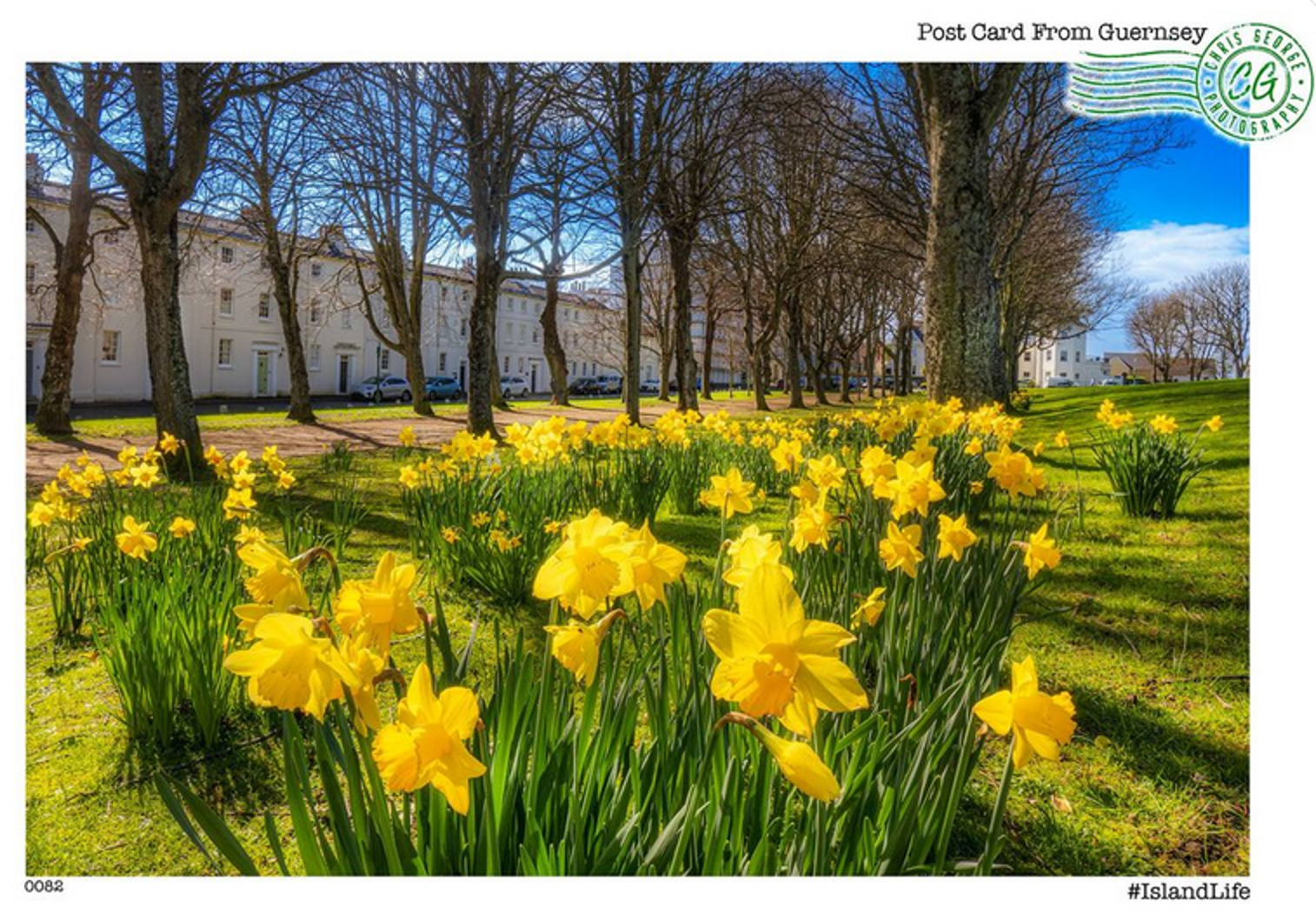 Floral Design Guernsey What Now ‐ Floral Guernsey