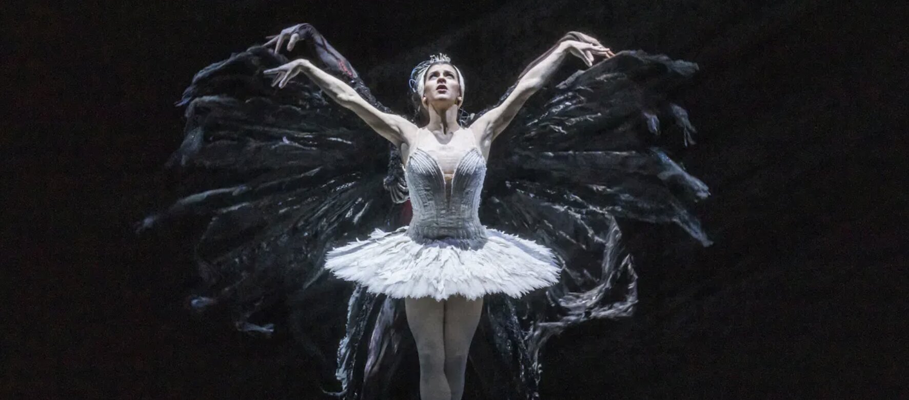 Royal Ballet Presents - Swan Lake
