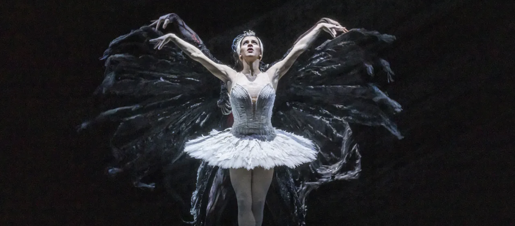 Royal Ballet Presents - Swan Lake