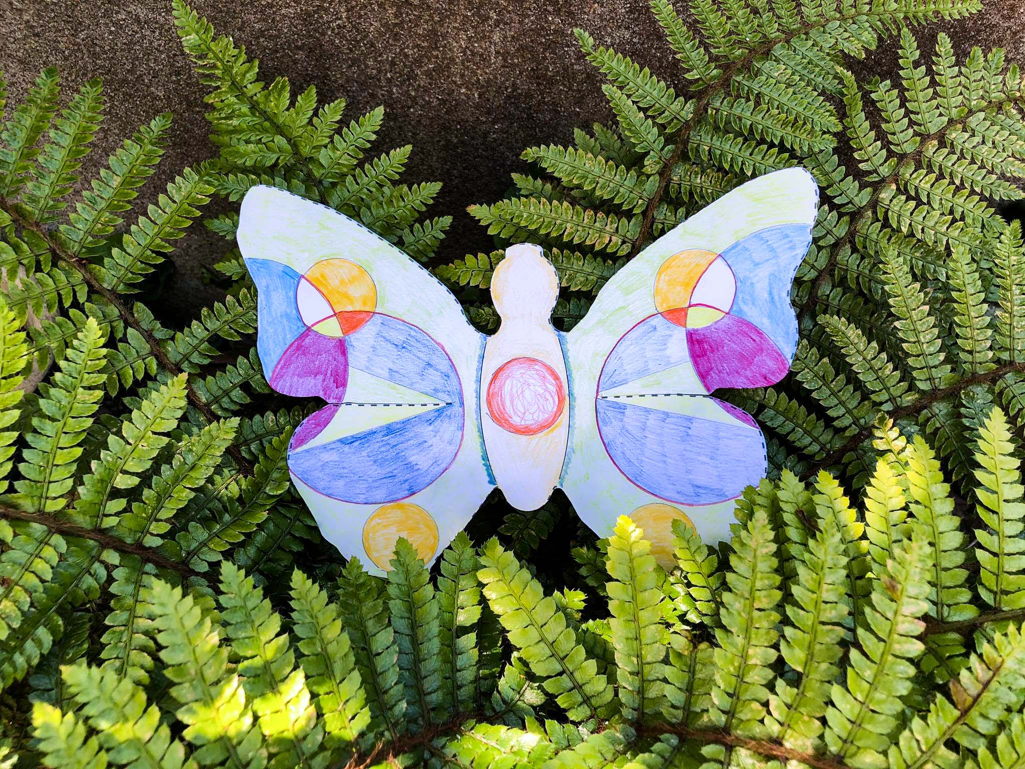 Create a Bumblebee, Butterfly, Solitary Bee..
