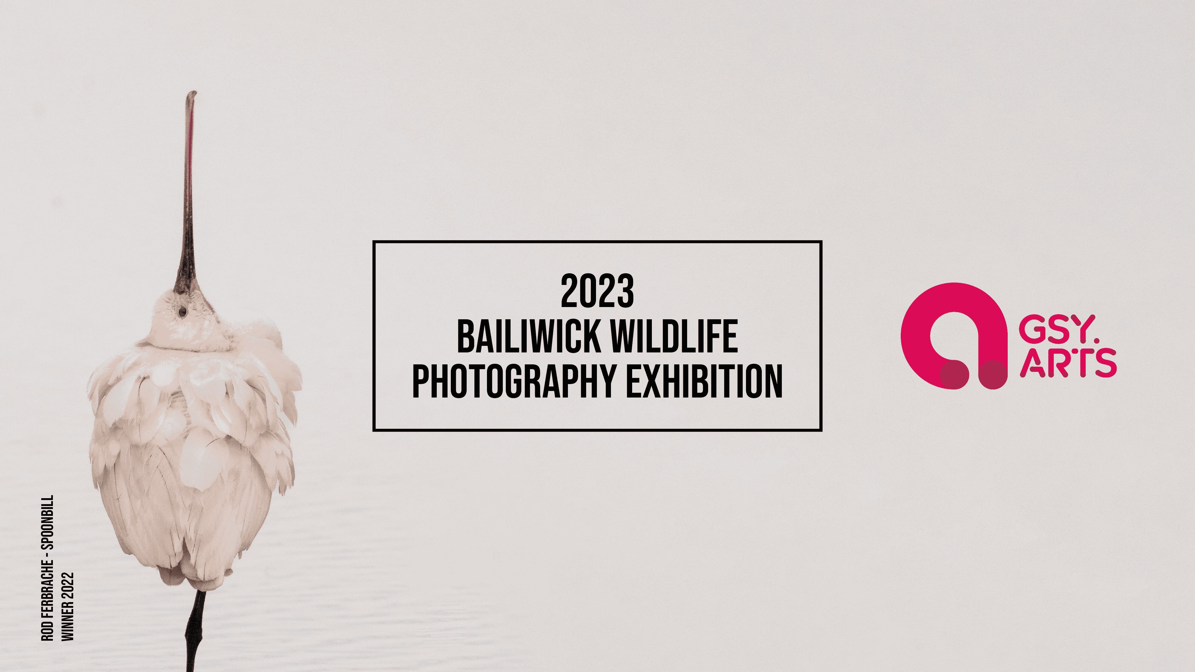 2023 Bailiwick Wildlife Photography Exhibition