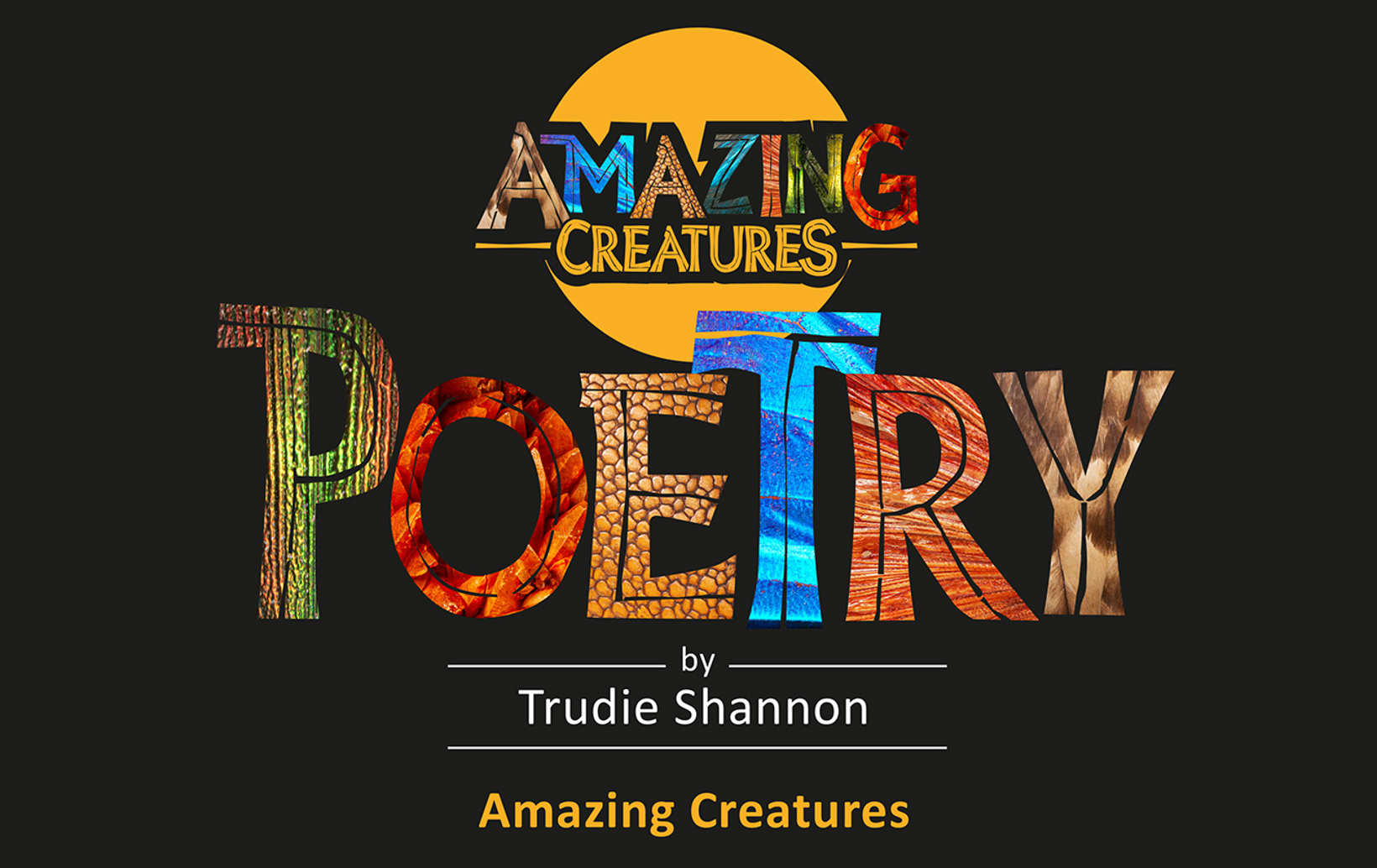 Friday Lunchtime Tour - Poetry by Trudie Shannon