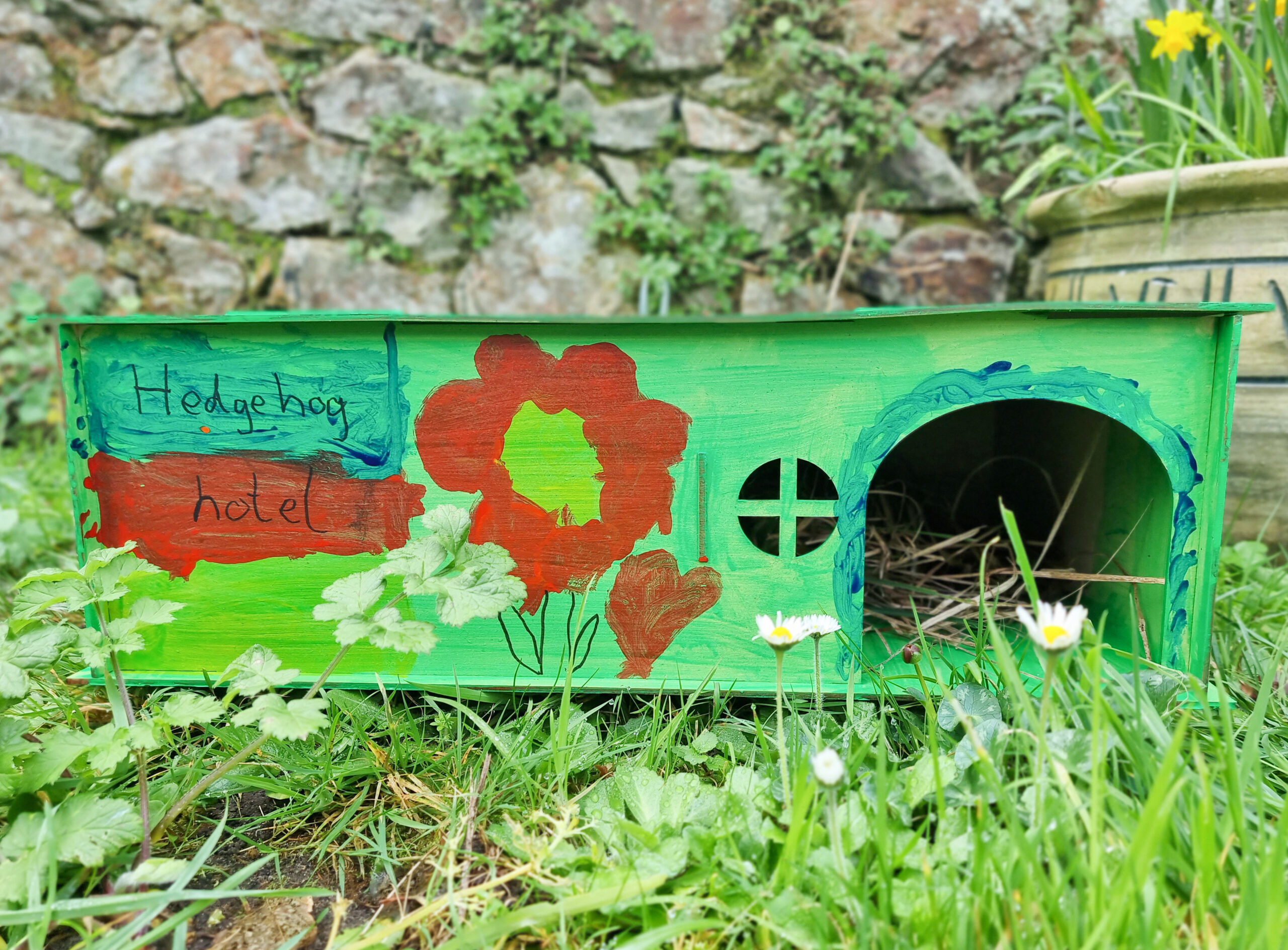 Hedgehog House Workshop