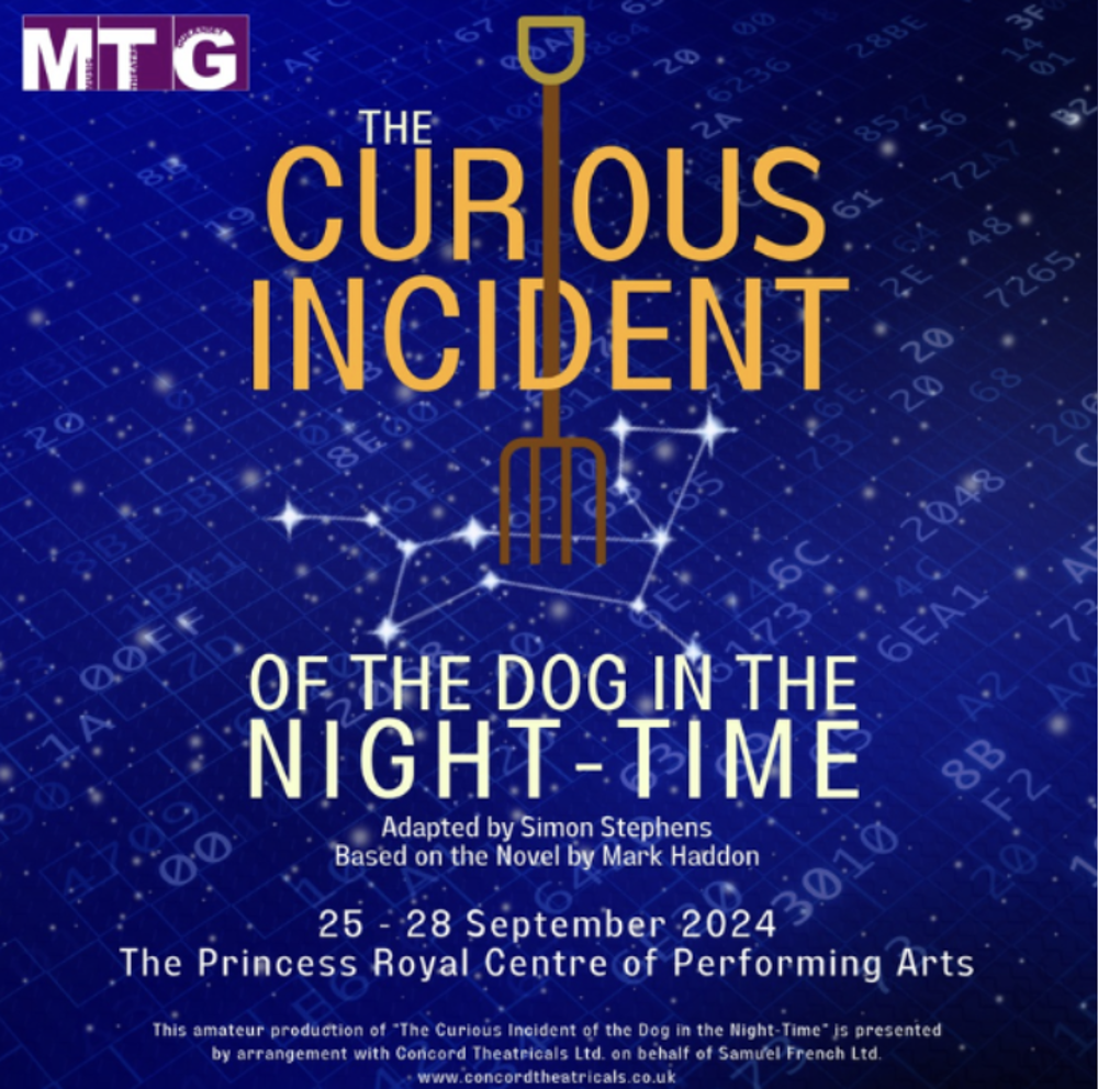 Poster for The Curious Incident of the Dog in the Night-Time