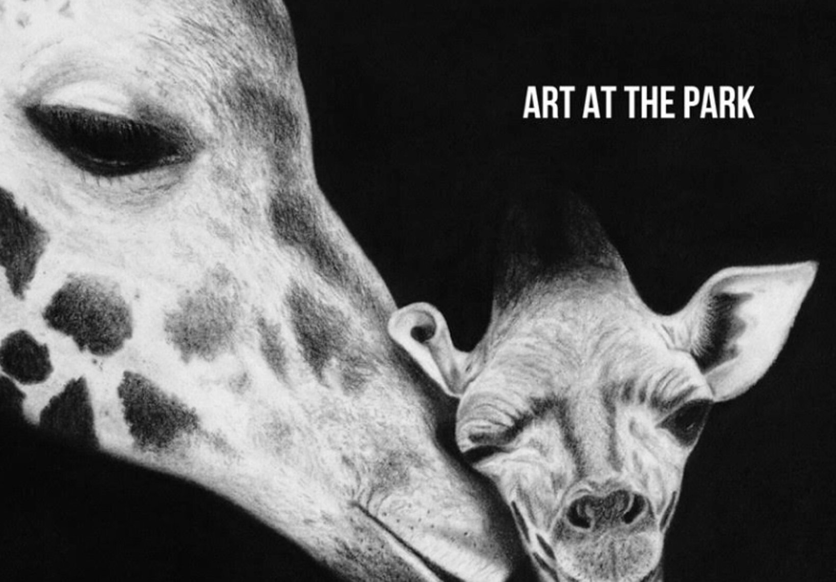 Art at the Park: 'Nature in Focus' by Mark Naftel