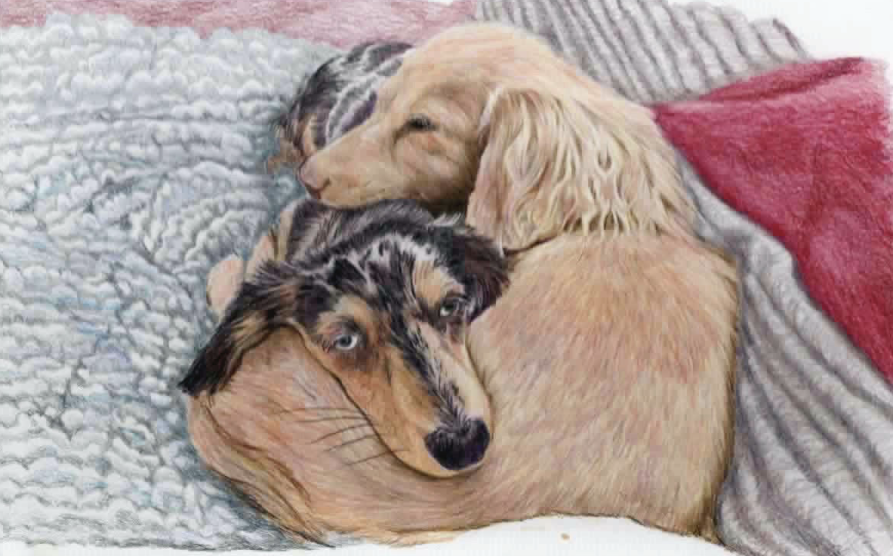 Artists4Pets