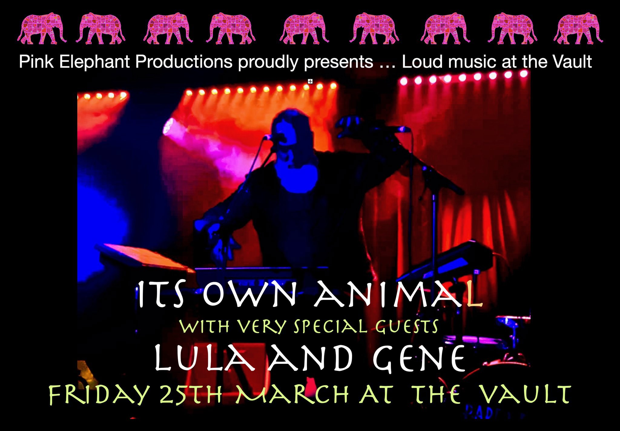 Its Own Animal Single Launch Party