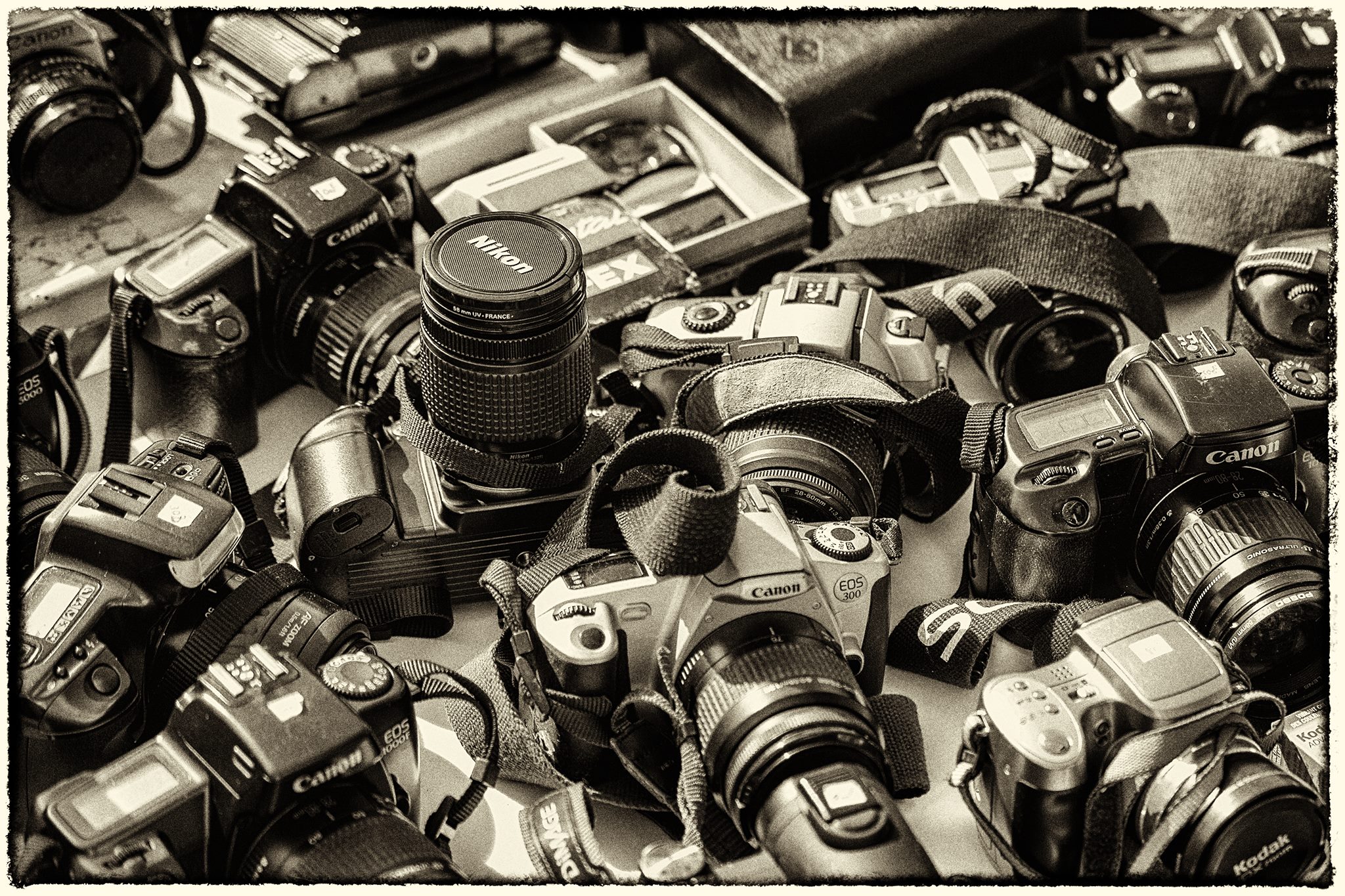 Prism Photography Club