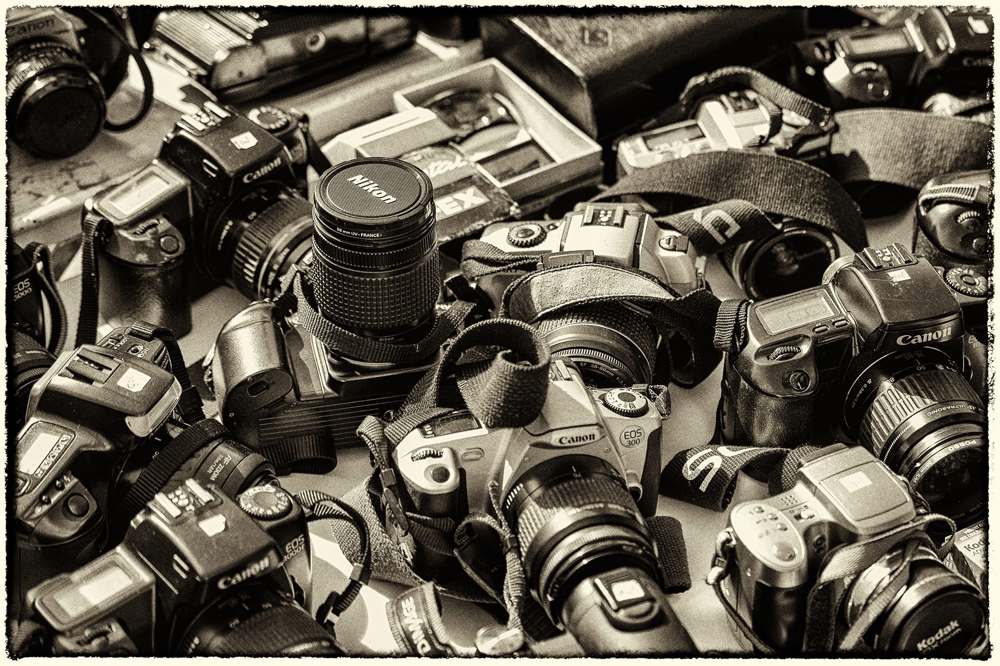 Prism Photography Club