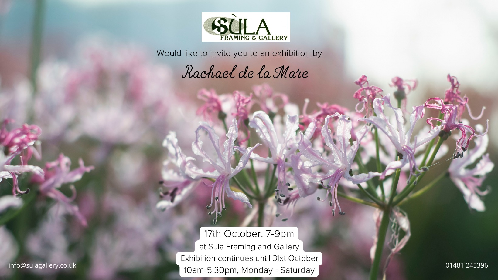 Nerine, Exhibition by Rachael de la Mare 