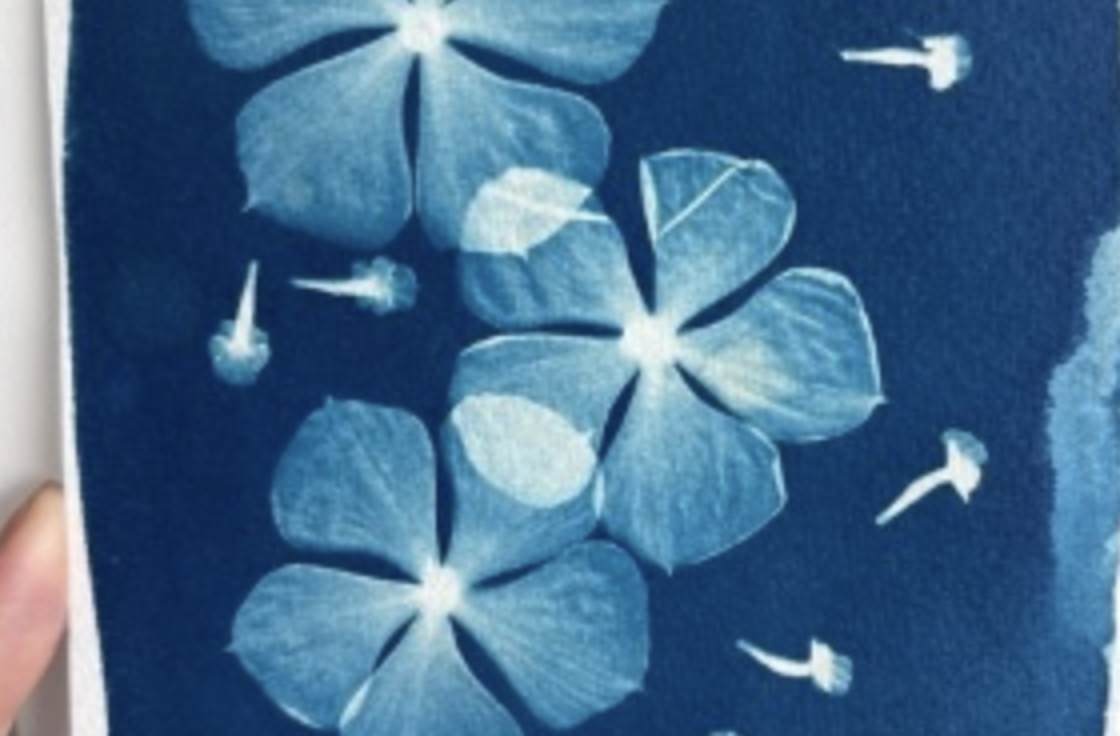 Introduction to Cyanotype WORKSHOP with Gill Harrison