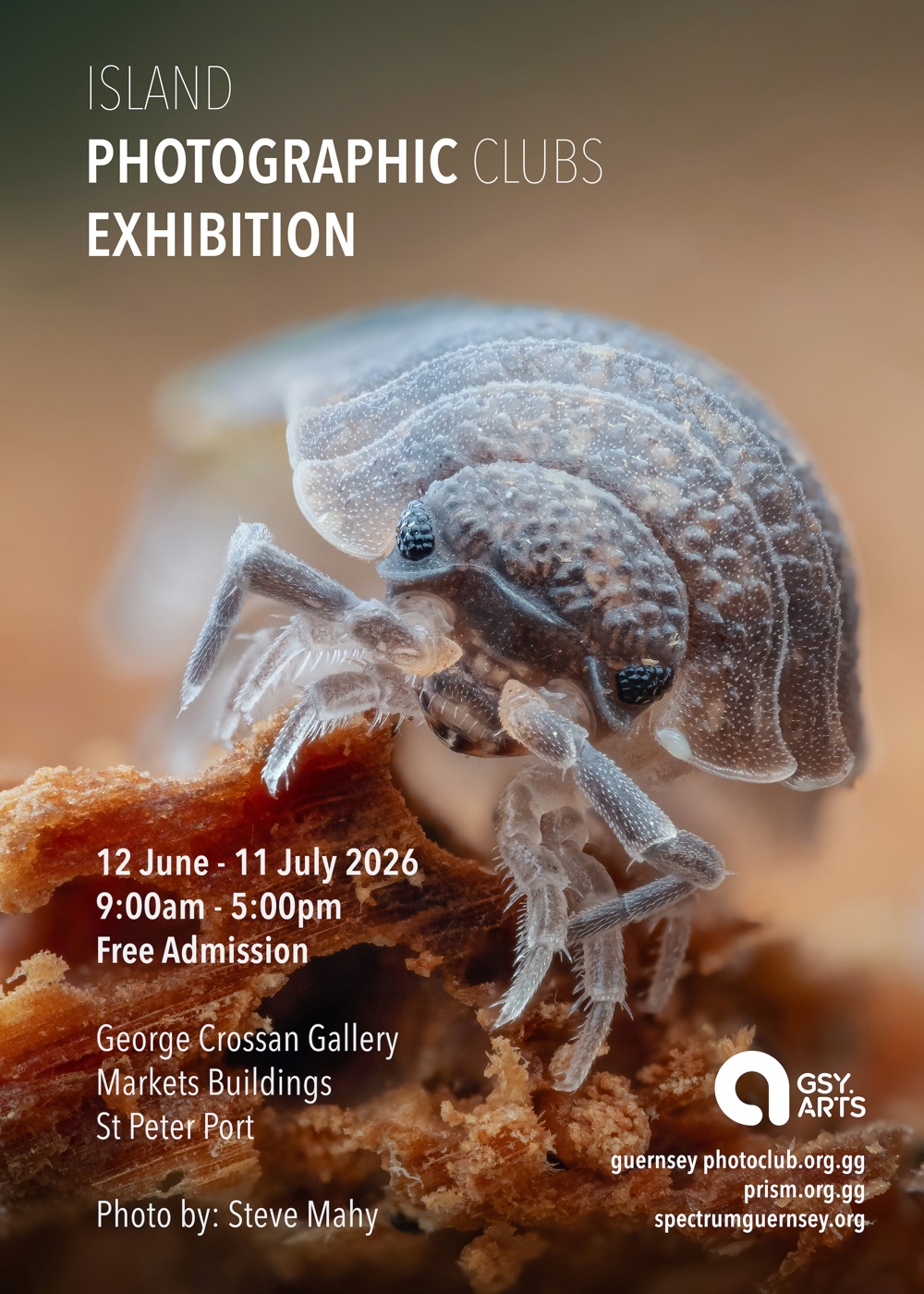 Poster for Island Photographic Clubs Exhibition