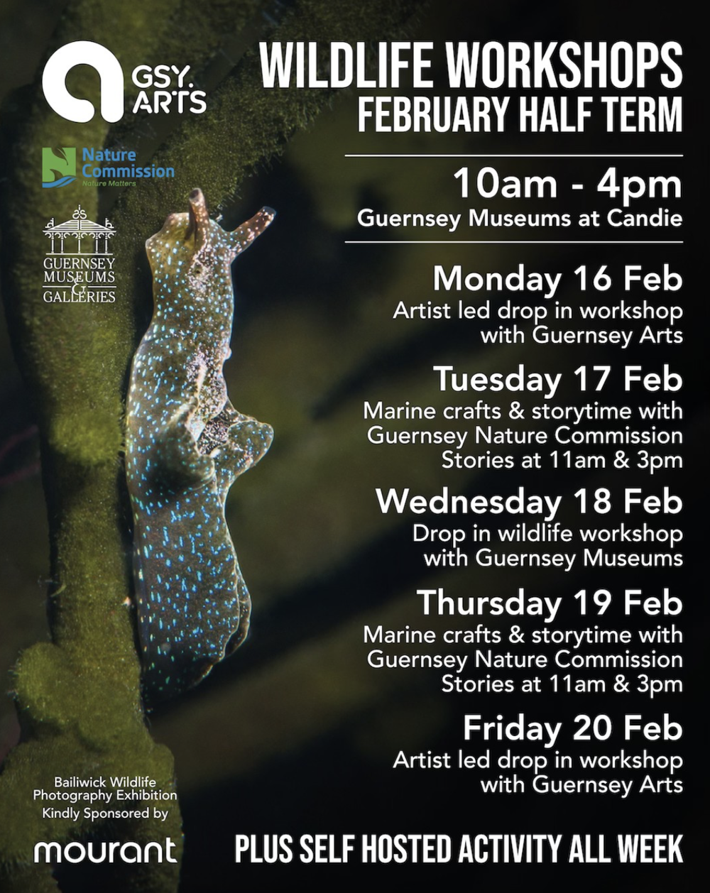 Poster for Wildlife Workshops! February Half Term