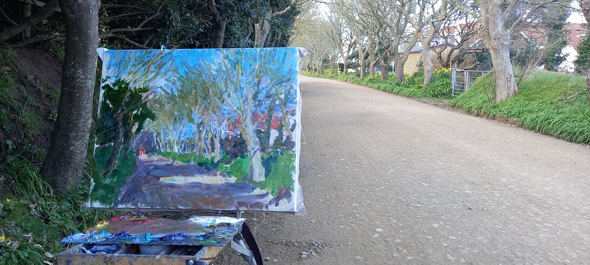 Creative Sark Festival