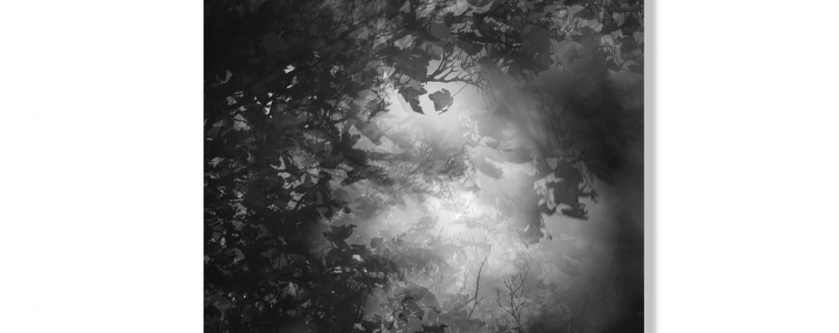 'Beyond the Shadows': An Exhibition by Helen Glencross