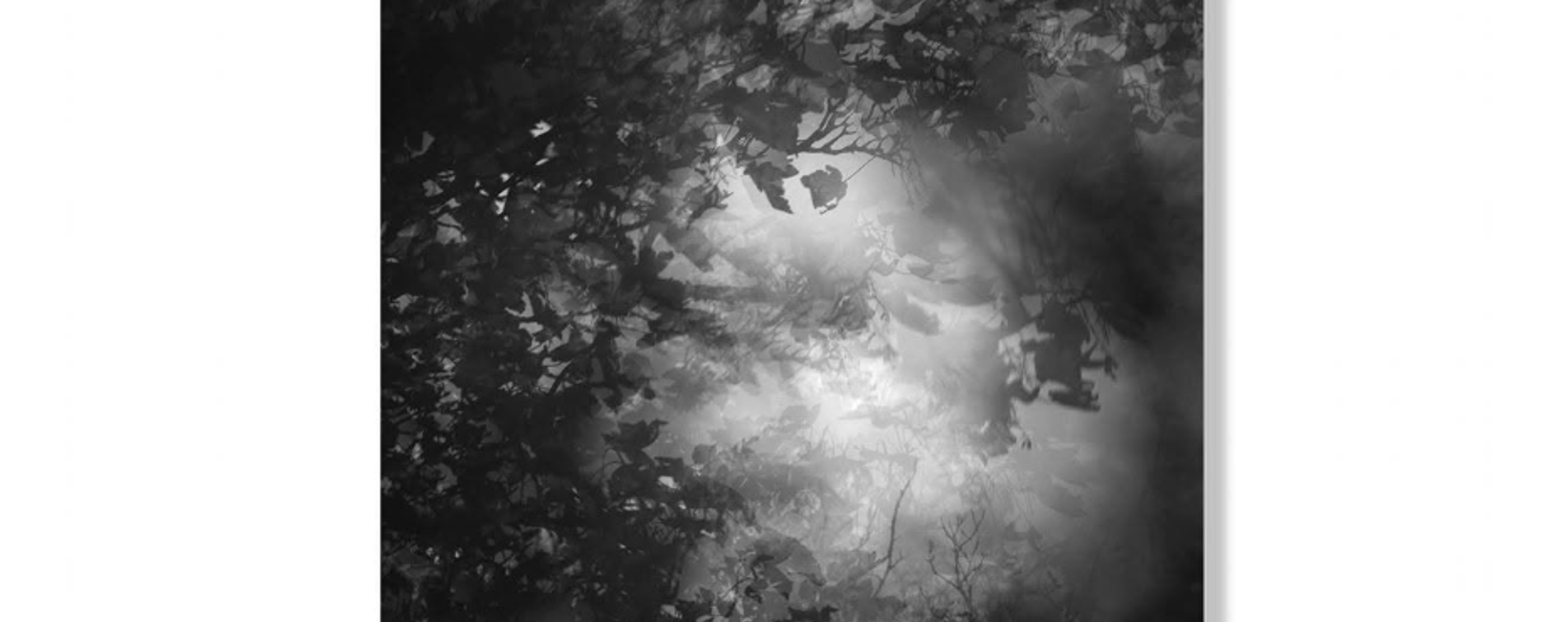 'Beyond the Shadows': An Exhibition by Helen Glencross