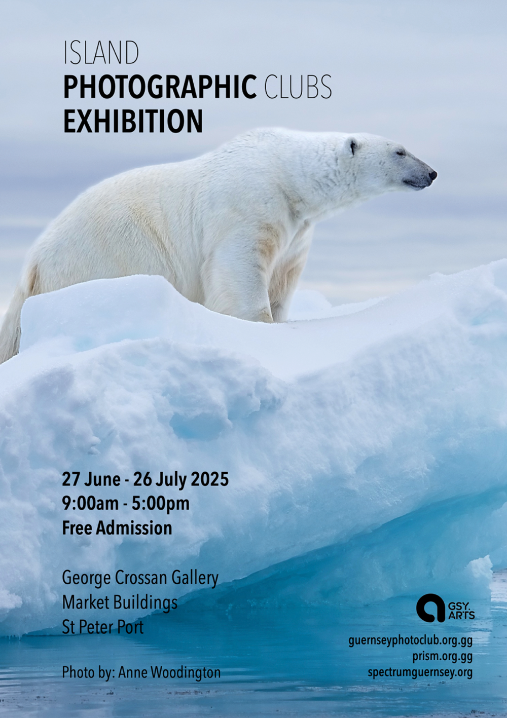 Poster for Island Photographics Club Exhibition