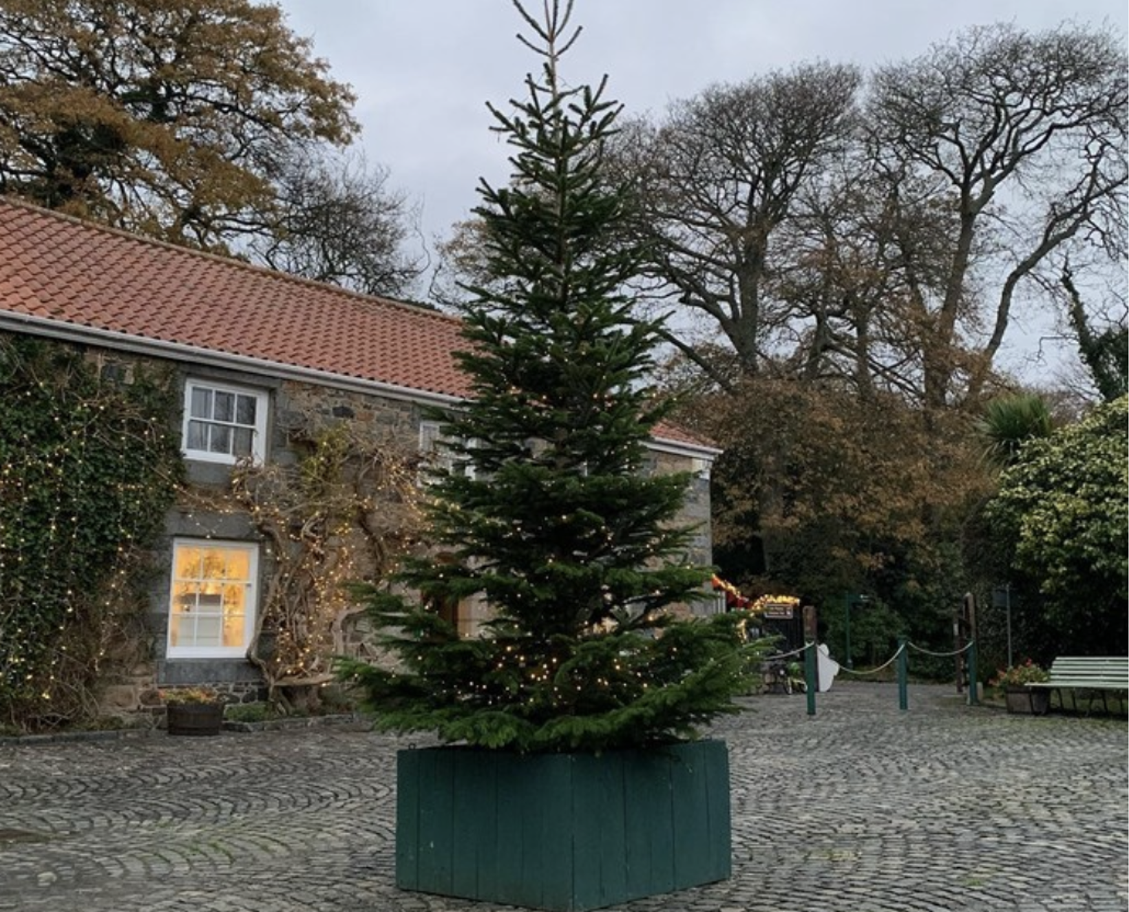 The Museum Christmas Shop