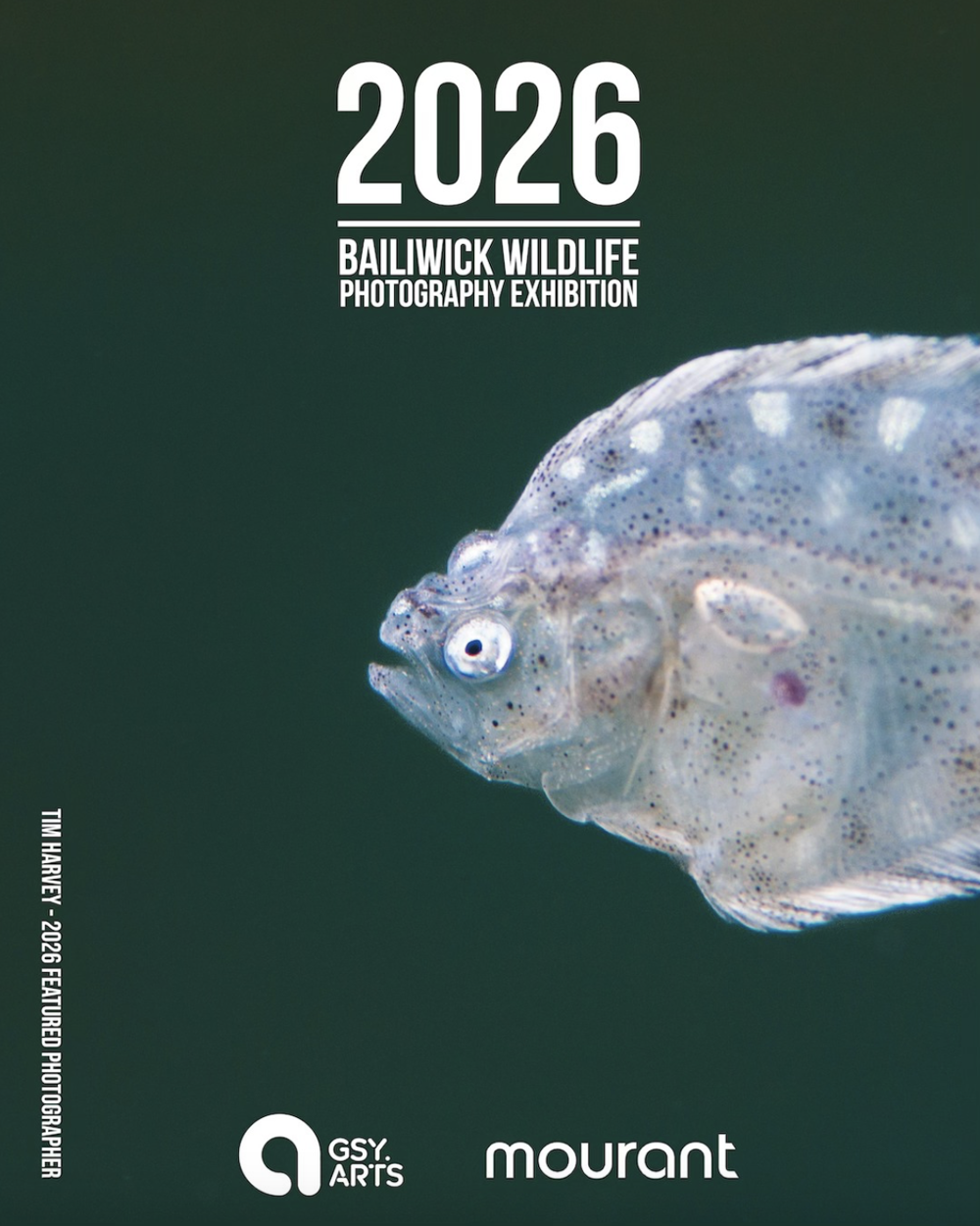 Poster for Bailiwick Wildlife Photography Exhibition 2026: Submissions open!