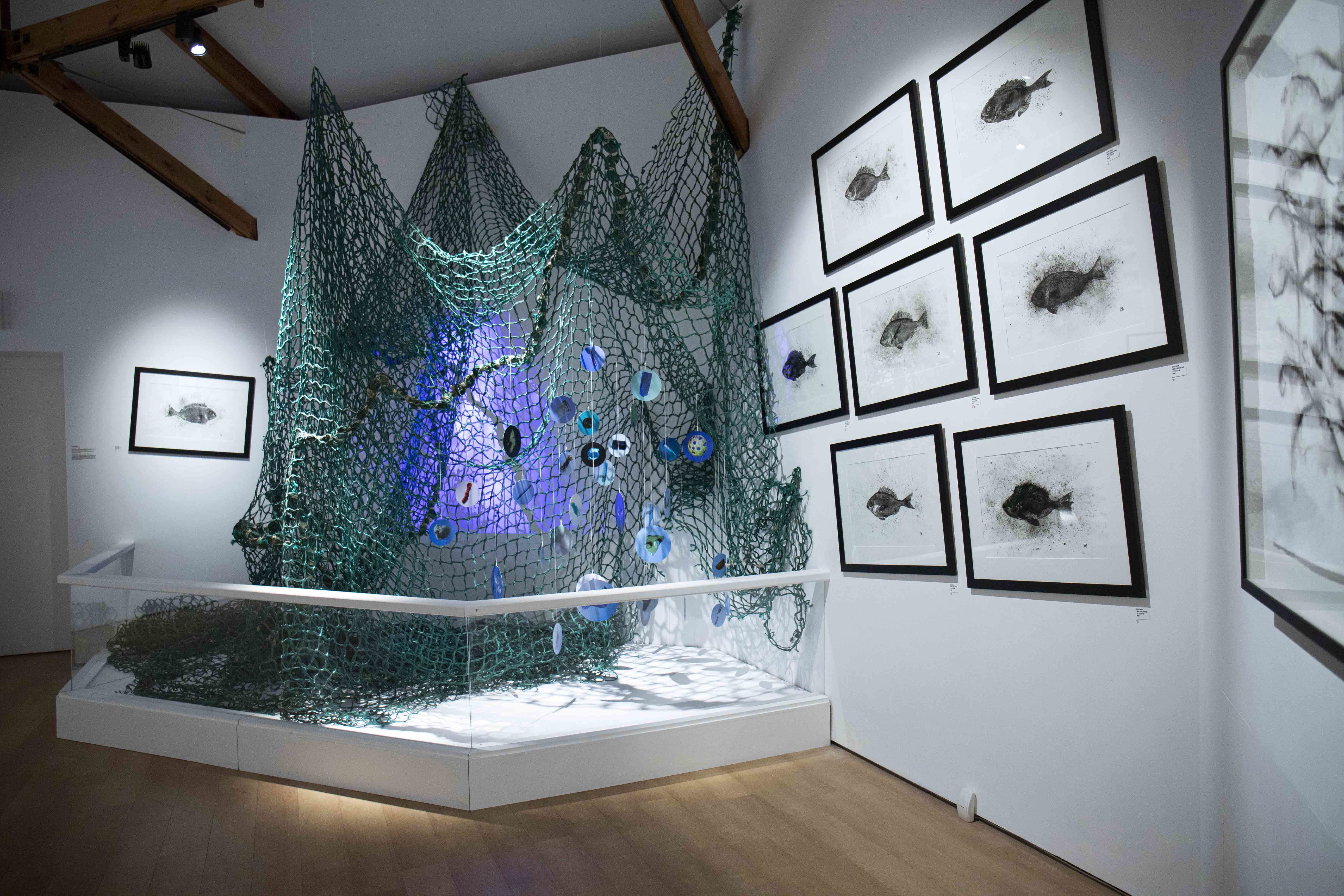 Bridget Spinney - The Art Of Nature on Paper