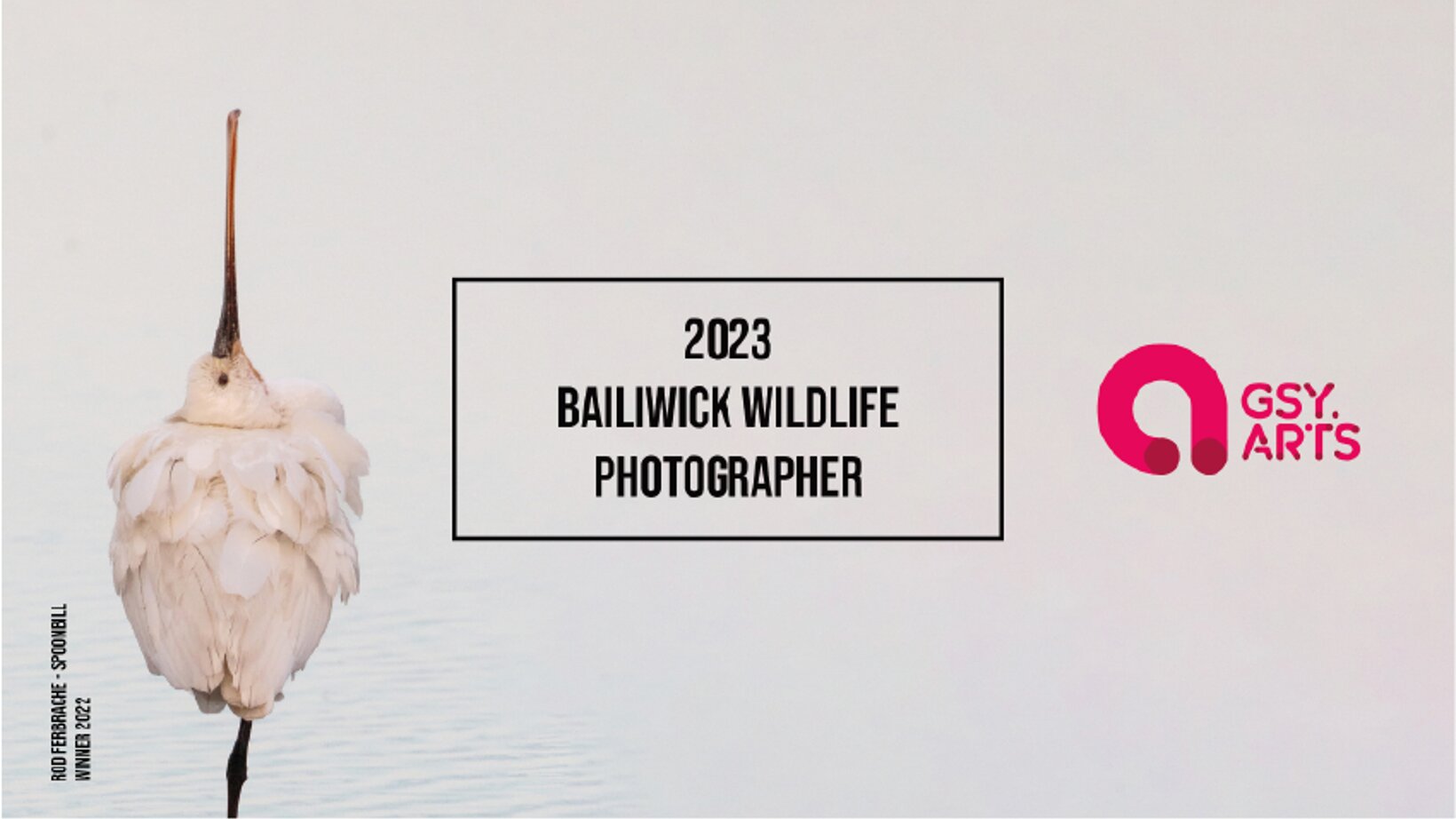 2023 Bailiwick Wildlife Photographer: Submissions Open