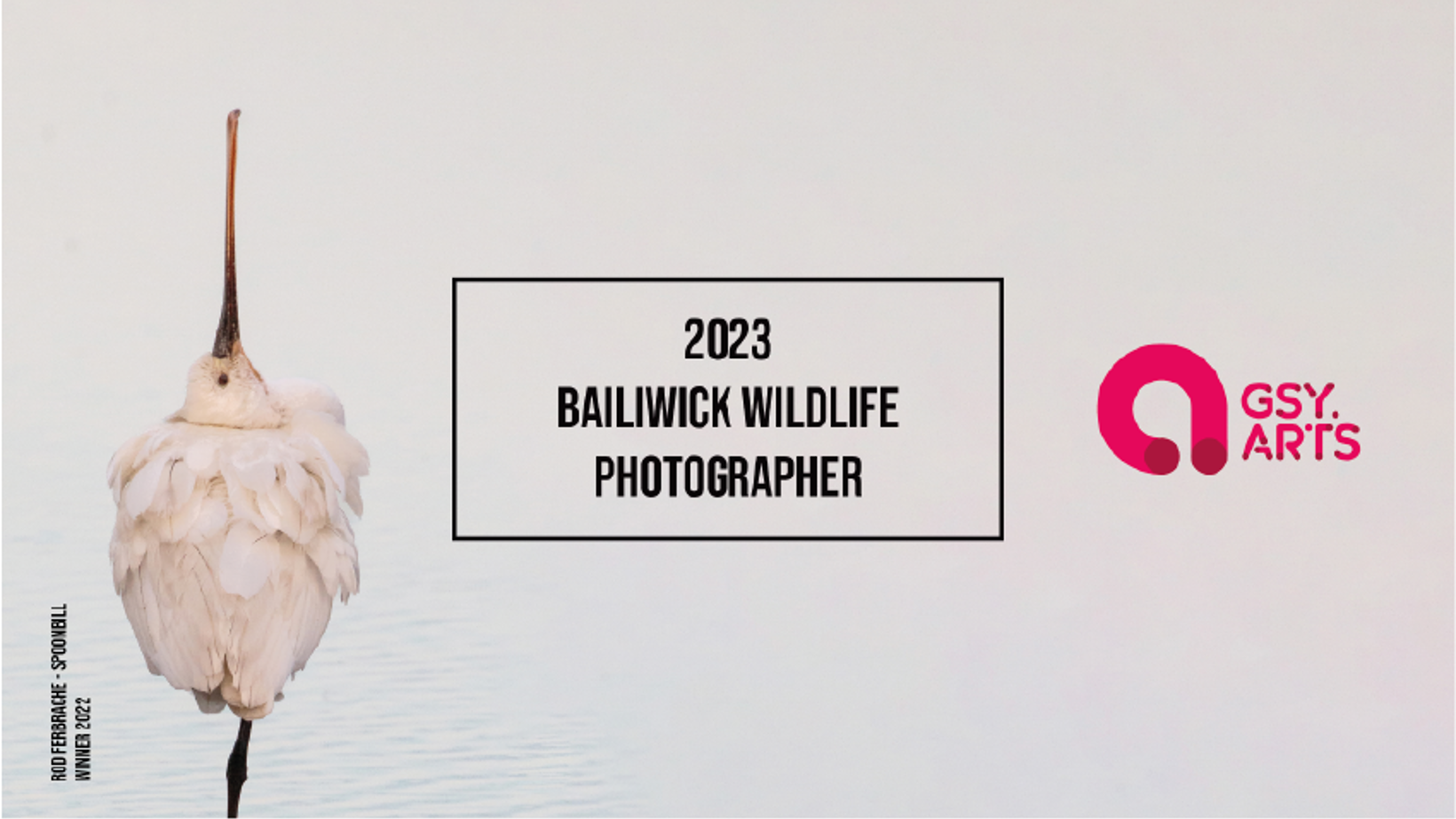 2023 Bailiwick Wildlife Photographer: Submissions Open