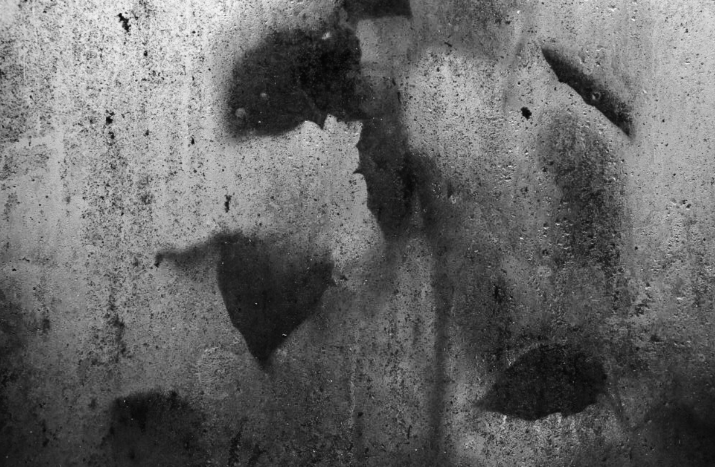 Beyond the Shadows - Workshops