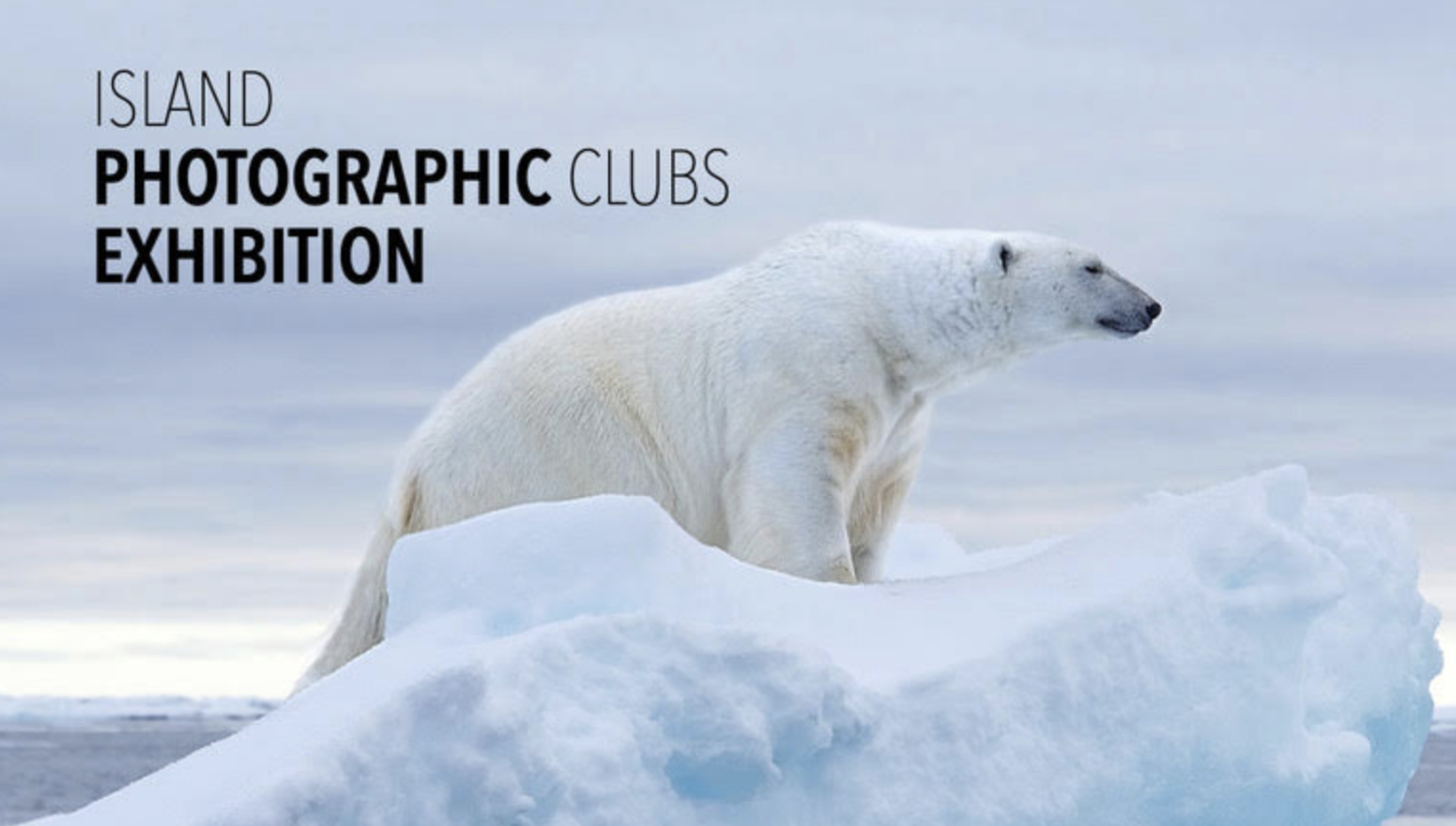 Island Photographics Club Exhibition