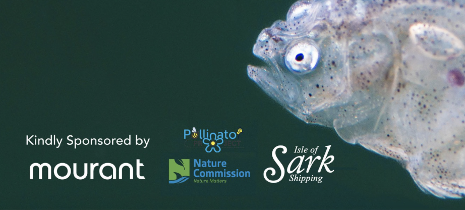 Bailiwick Wildlife Photography Exhibition - Sark