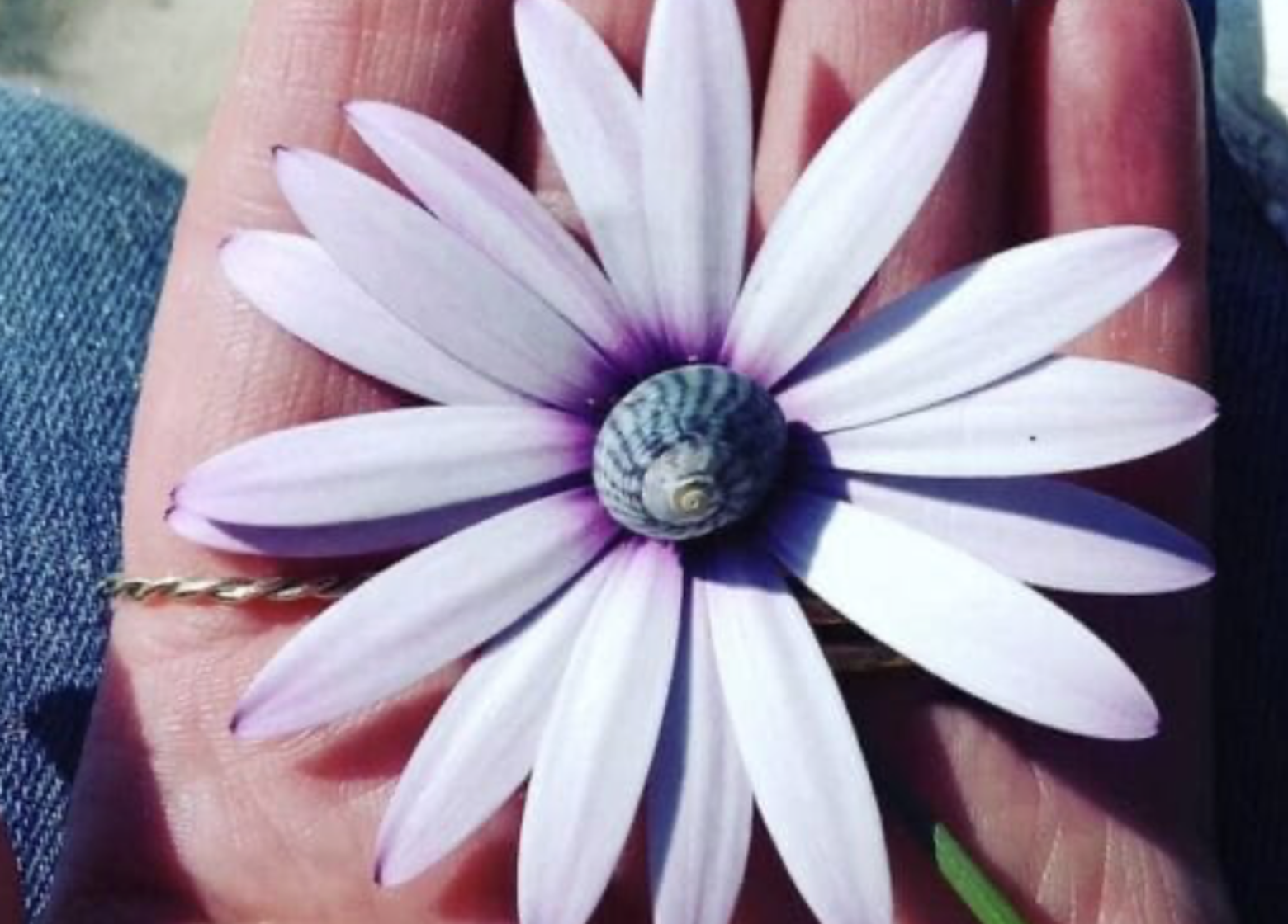 Art Foraging Workshop