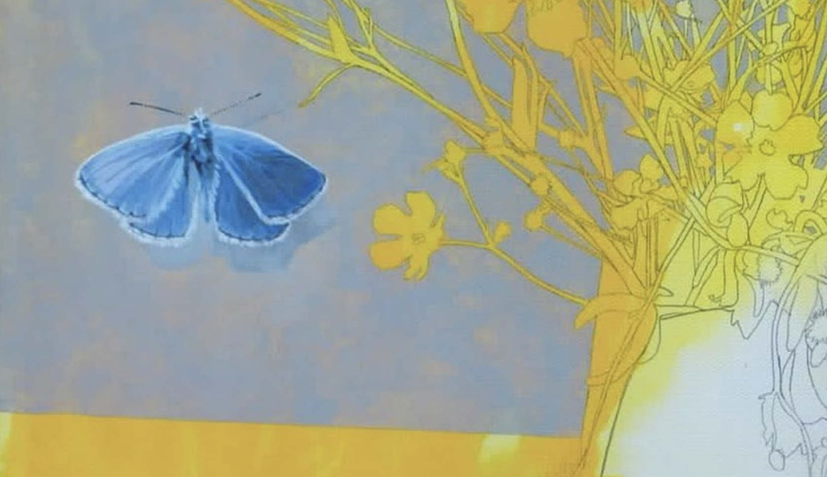 Exhibition at Sark Art Gallery: Ecosphere Collection