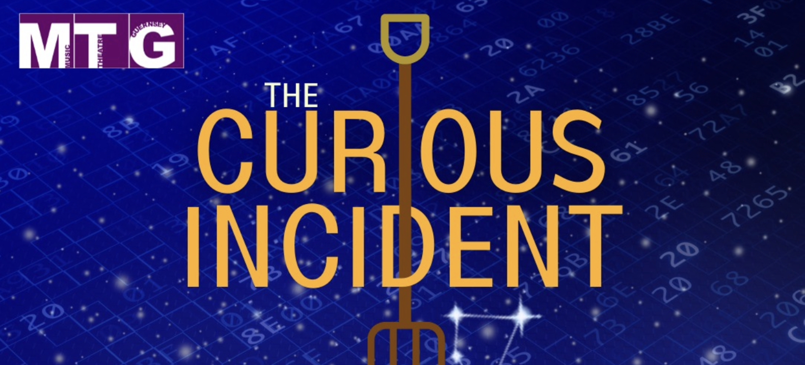 The Curious Incident of the Dog in the Night-Time