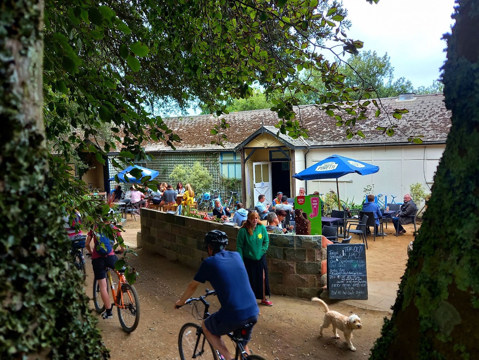 Folk 'N Ale Sark 2024