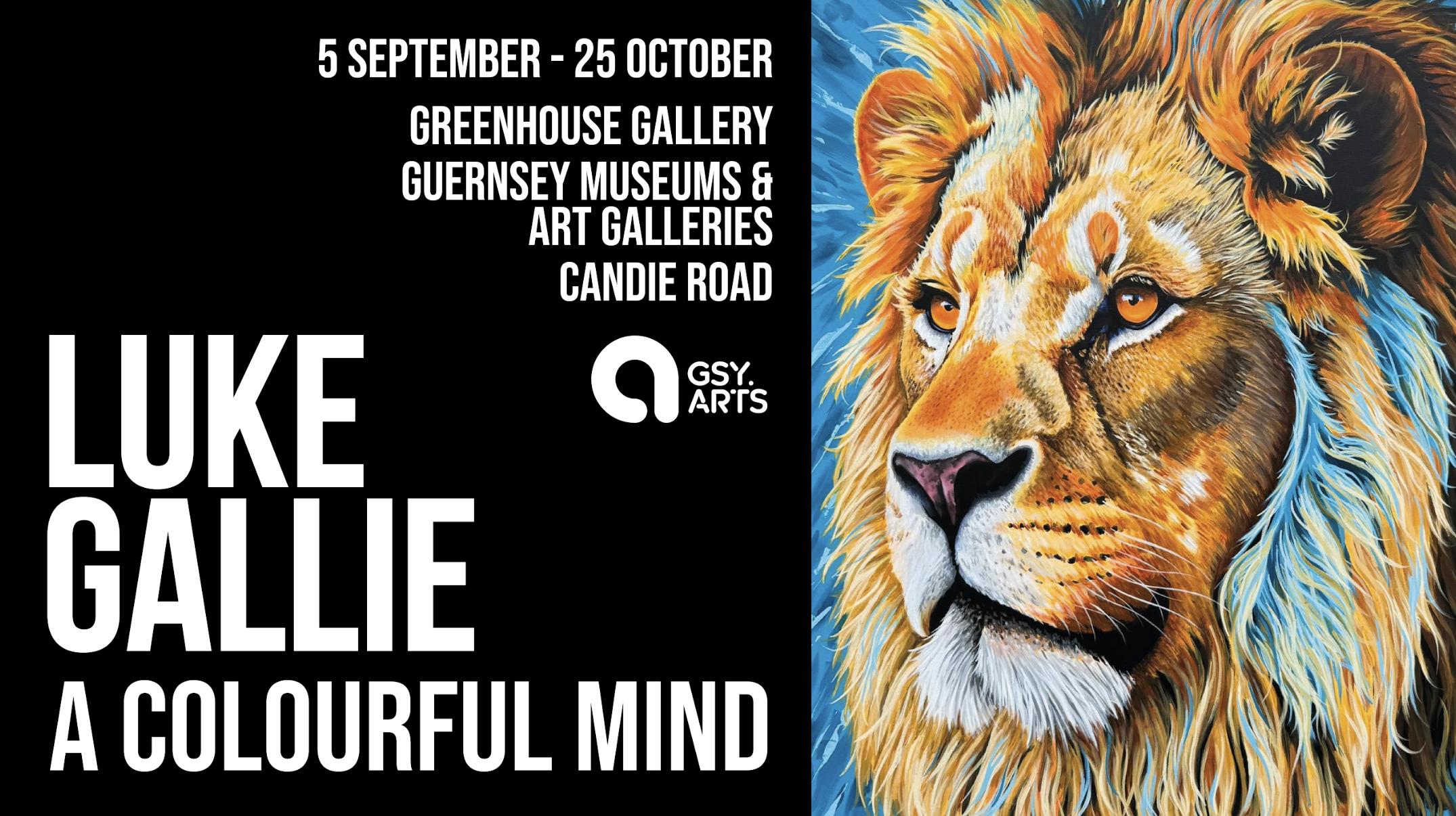 A Colourful Mind: An Exhibition by Luke Gallie