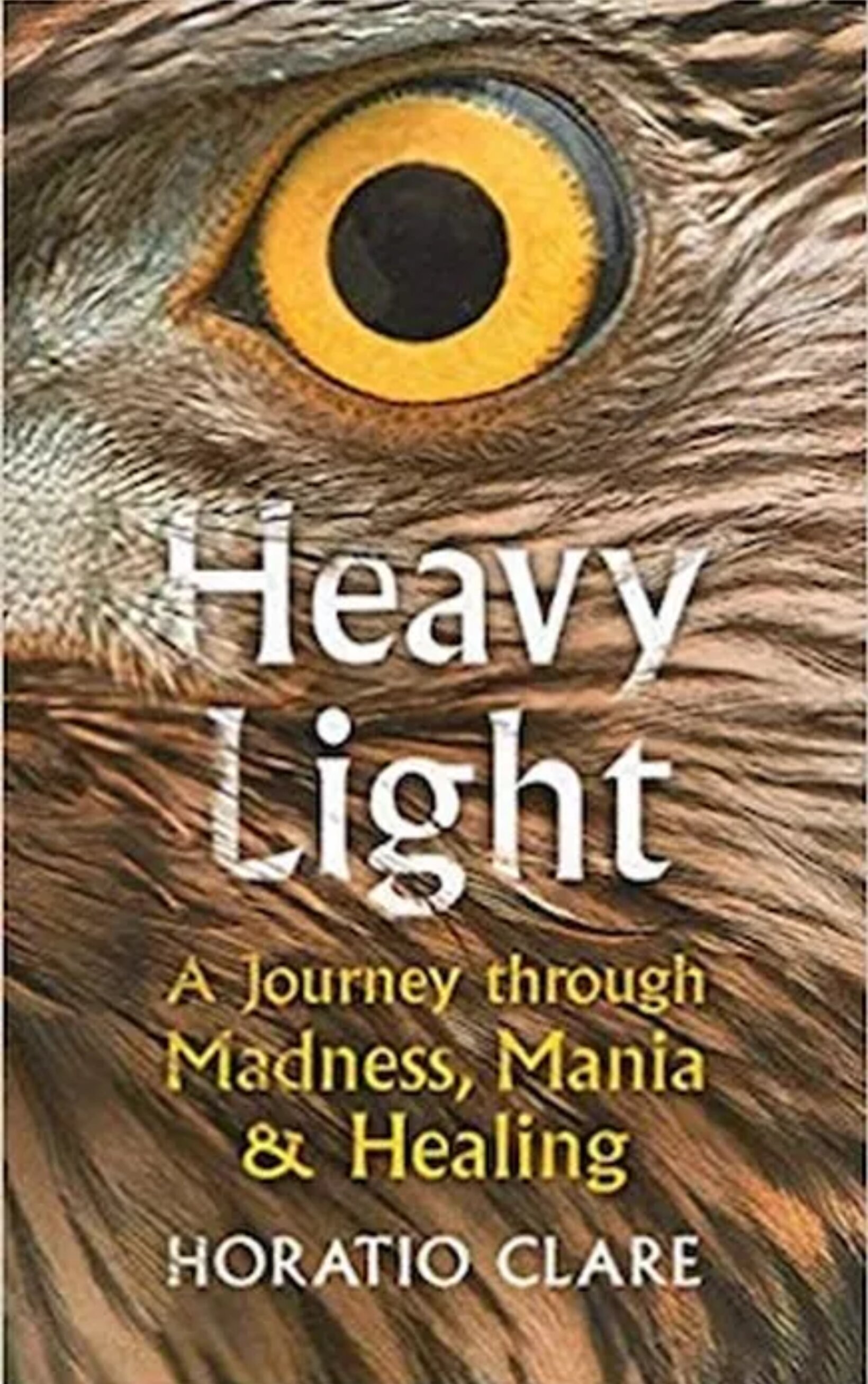 GLF presents Heavy Light - A Journey through Madness, Mania, and Healing, by Horatio Clare