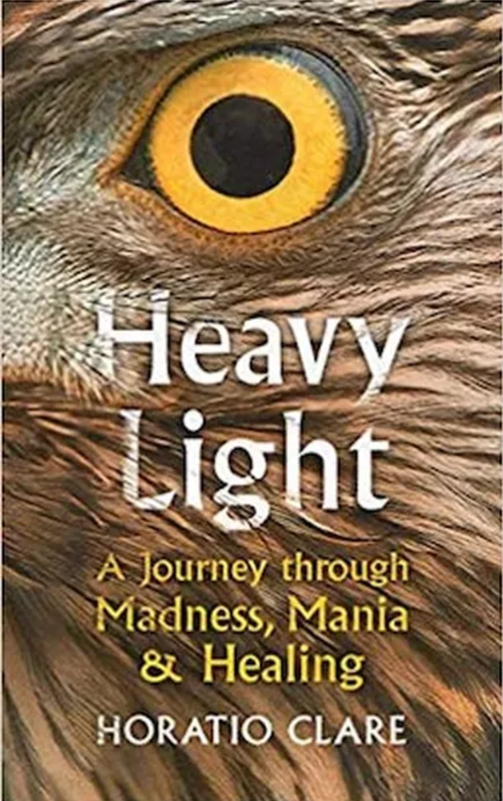GLF presents Heavy Light - A Journey through Madness, Mania, and Healing, by Horatio Clare