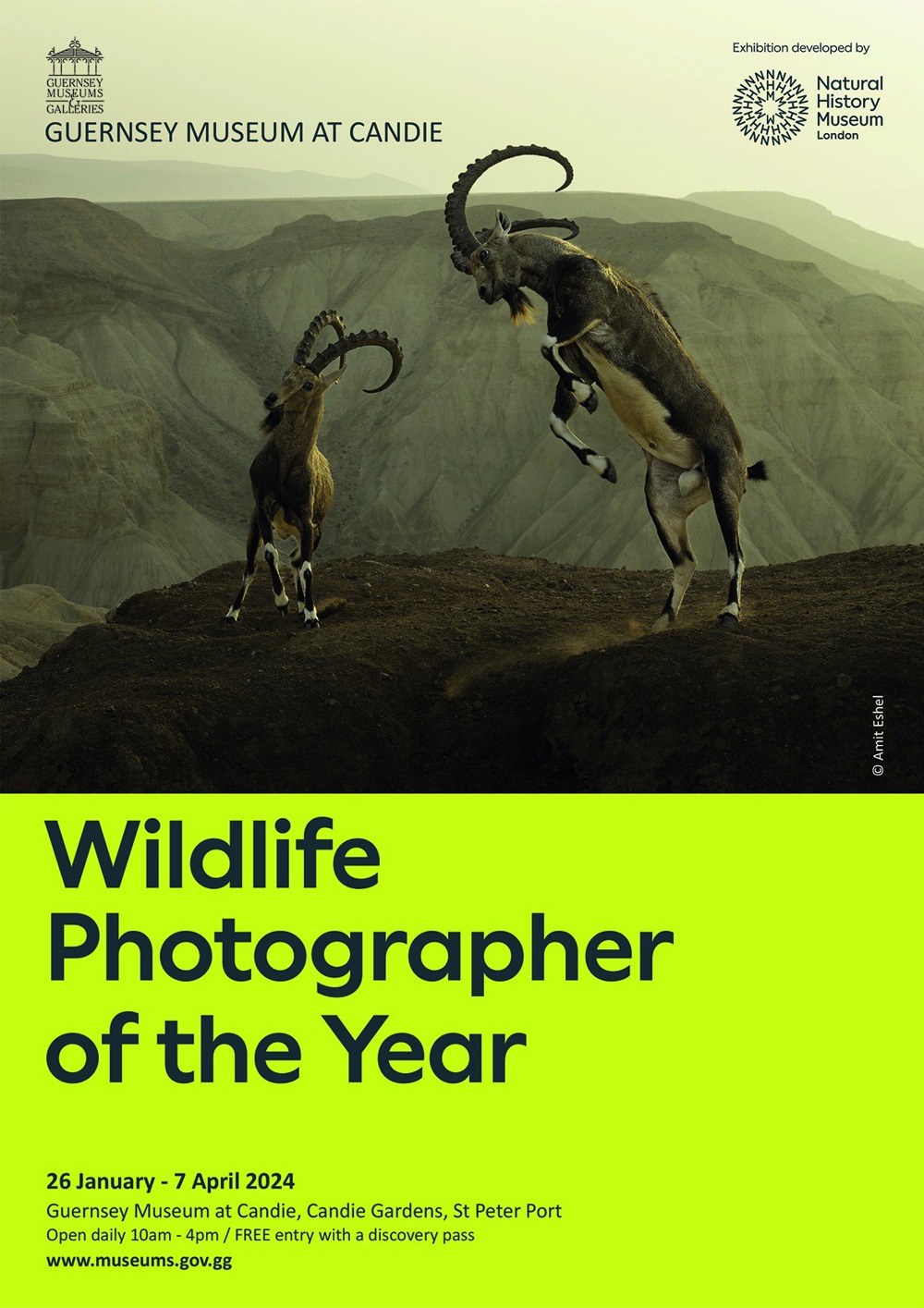 Poster for Wildlife Photographer of the Year Exhibition 2024