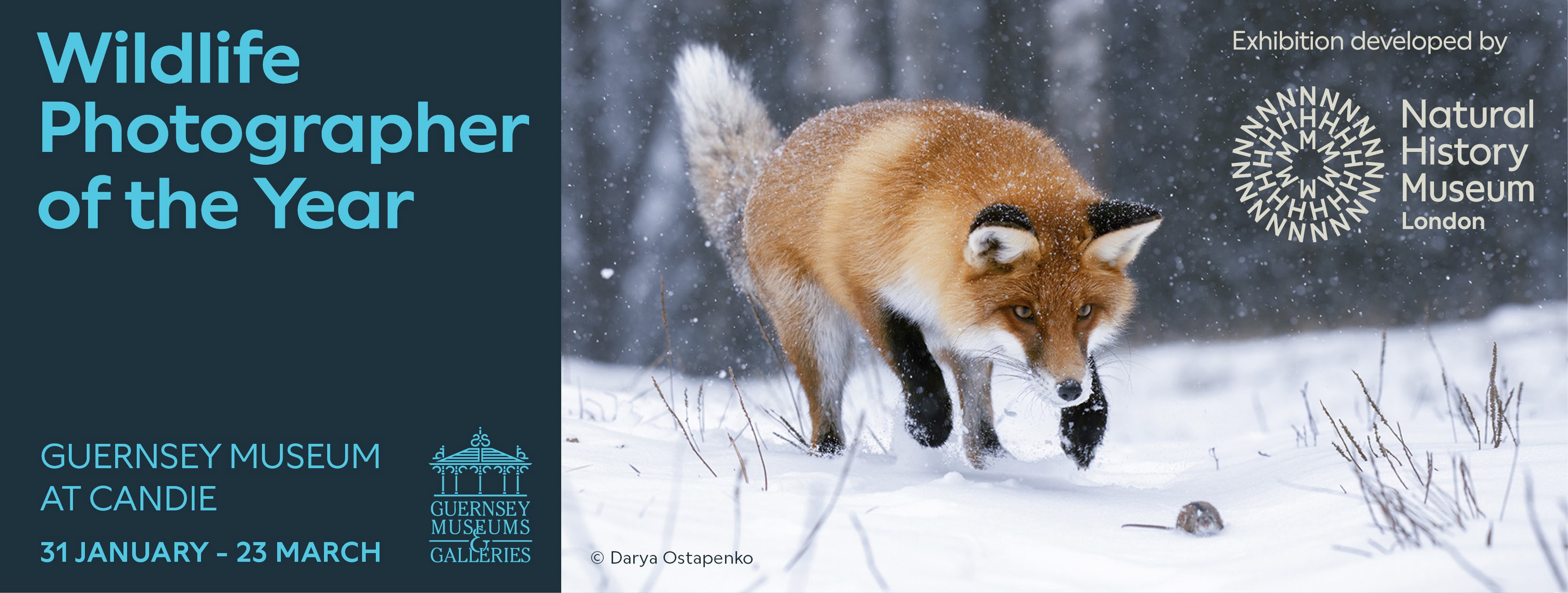 Wildlife Photographer of the Year 2025