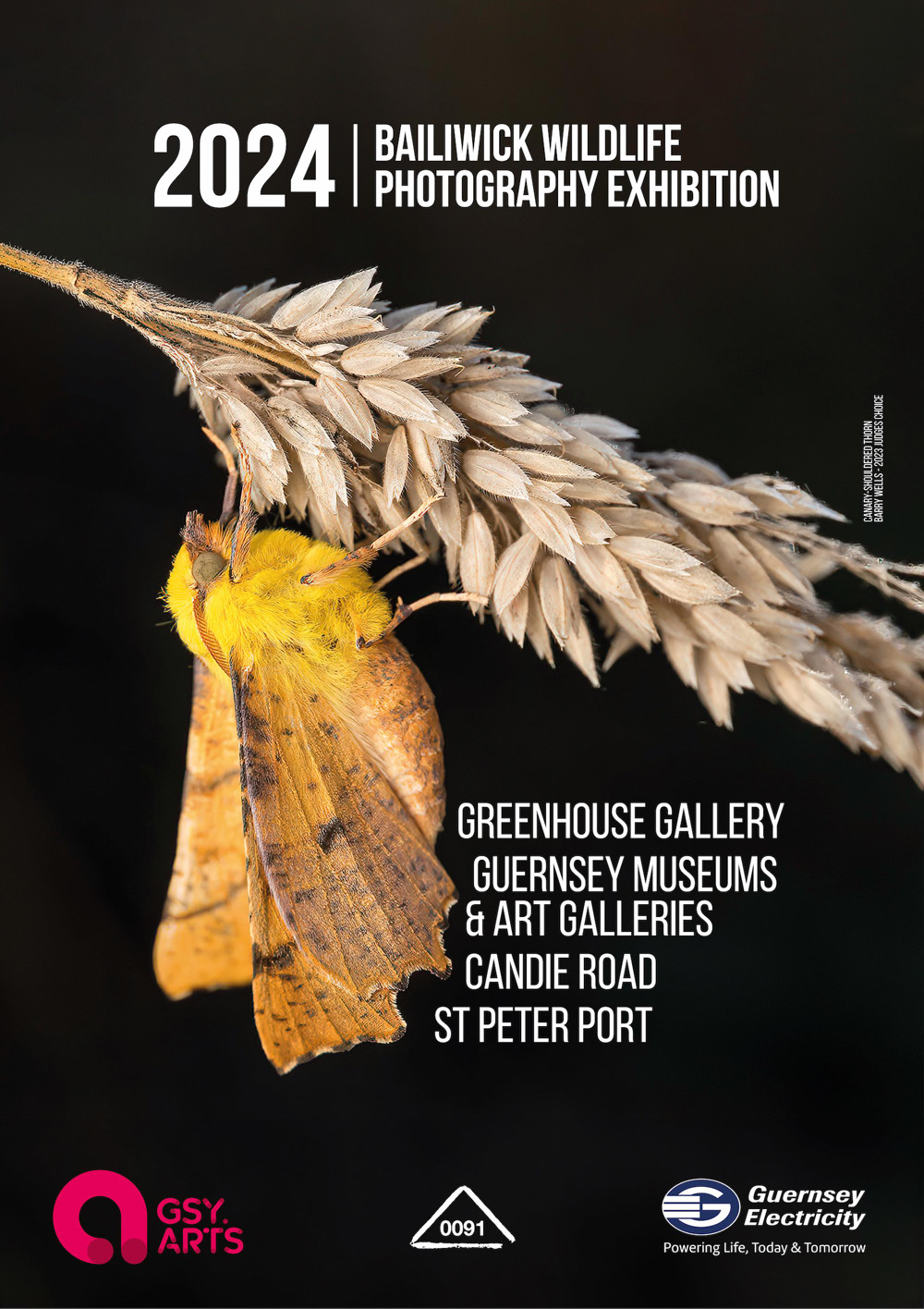 Poster for 2024 Bailiwick Wildlife Photography Exhibition