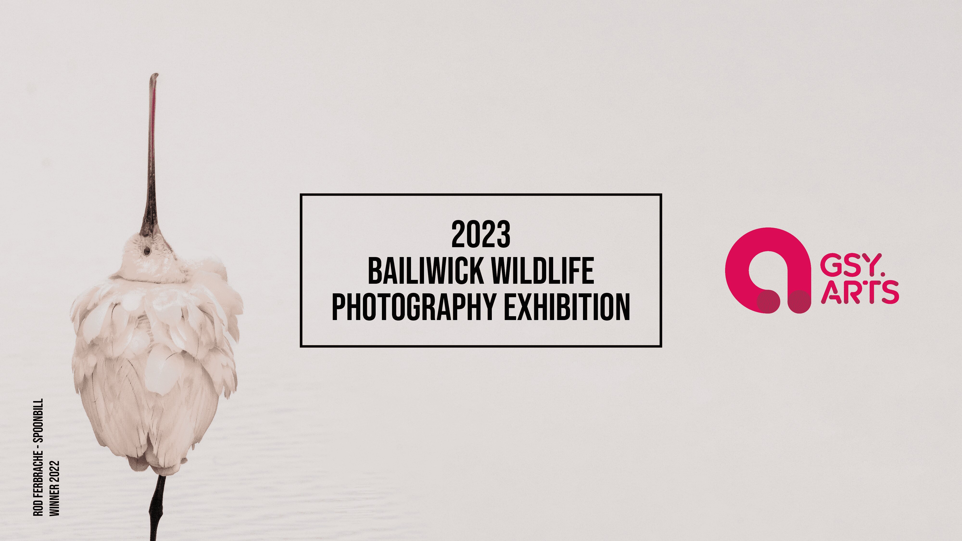 2023 Bailiwick Wildlife Photography Exhibition