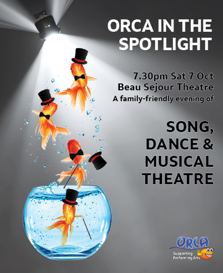 Orca in the Spotlight