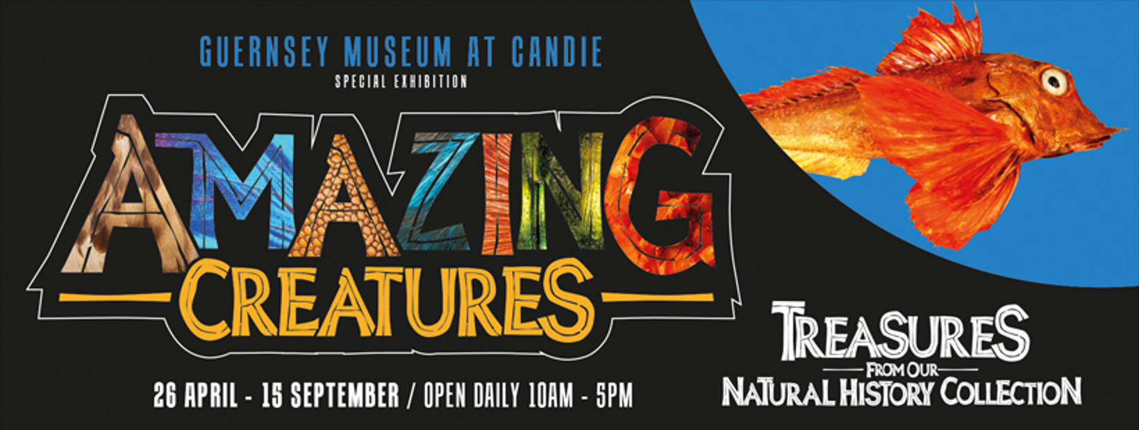 Amazing Creatures: Treasures from our Natural History Collection